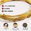 Alice Acoustic Guitar Premium Performance Guitar Super Light Strings, 80/20 Bronze, Strings, (.011-.052) AWR480-SL