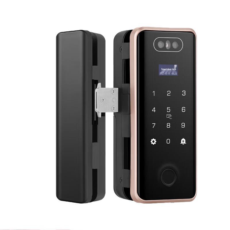 Realand ZD508 Smart Door Lock with Face & Fingerprint Recognition