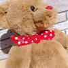 [USED] Two teddy bears, Harrods & Godiva, Harrods pouch