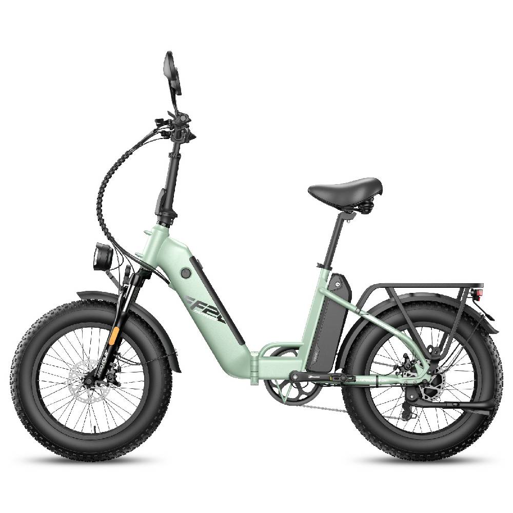 Fafrees FF20 Polar Electric Bicycle 500W Motor 20" Tire Adult Electric Bike Top Speed 45km/h 48V 24AH Dual Disc Brakes 7 Speed Max Load 150Kg