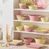 Ins Color Matching Advanced Sense Ceramic Handle Bowl Baking Bowl Atmosphere High Value Instant Noodle Bowl Salad Fruit Yogurt Bowl