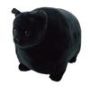 Reed Futocchi Zoo Kitty Plush Toy KuronekoBlack Cat