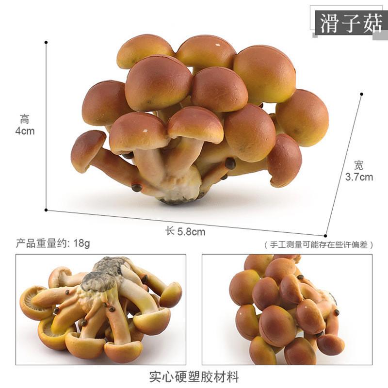 Realistisches Pilzset mit essbaren Shiitake-, Enoki-, Matsutake-Pilzen, giftigen Schirmpilzen, dekorativen Modellen, ideal für die Heimpräsentation