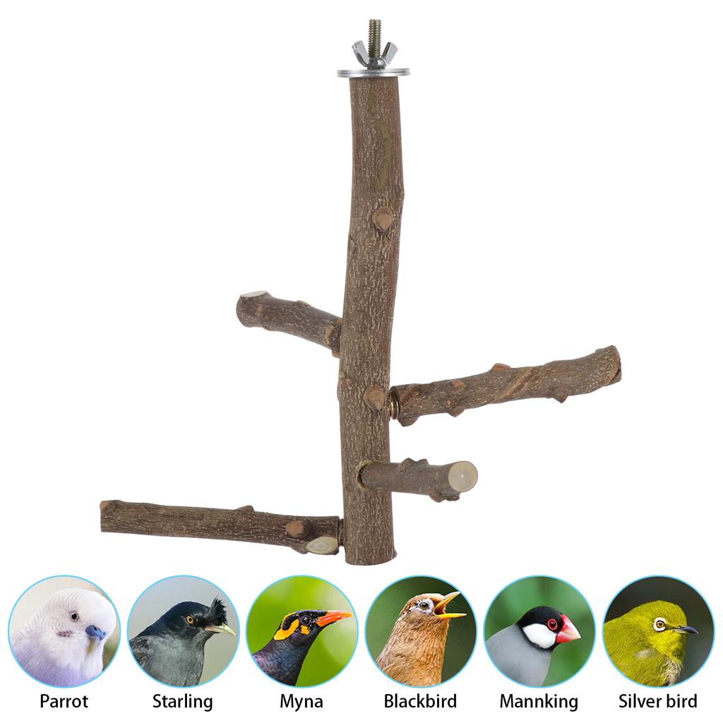 natural parrot toys