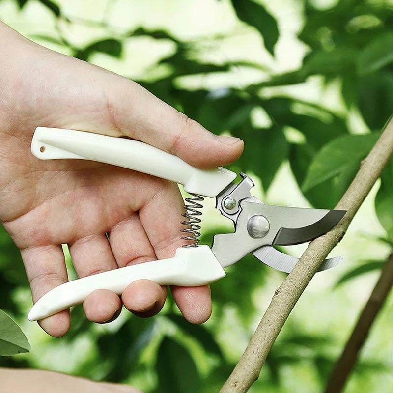 Stainless Steel Scissors Flower Cut Arrangement Pruning Fruit Tree Garden Branch Cutting Household Grafting Gardening Scissors