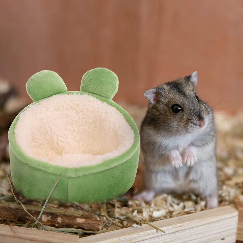 dwarf hamster bed