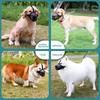 1Pc Pet Accessories Breathable Nylon Solid Color Dog Safety Adjustable Mouth Cover Anti Bite Muzzle