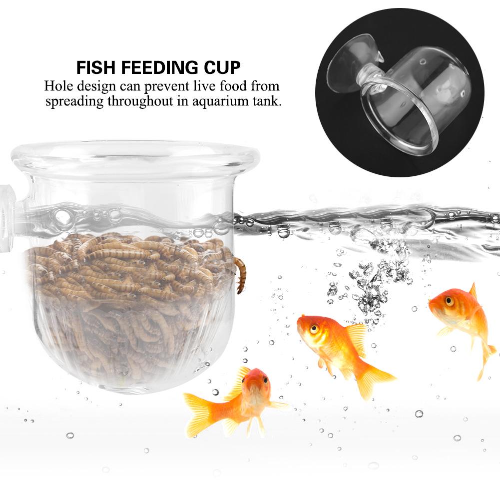 Small   Glass Plant Feeding Cup Fish Red Worm Feeder Cups for Aquarium(S)