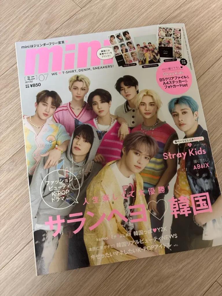 STRAY KIDS mini magazine (components included) Used