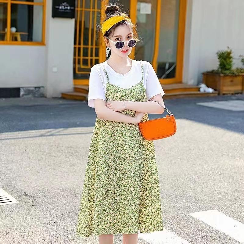 Maternity Clothes New Dress Floral Zou Ju Spring and Summer Thin Fake Two Loose Large Size Medium and Long T-shirt Skirt