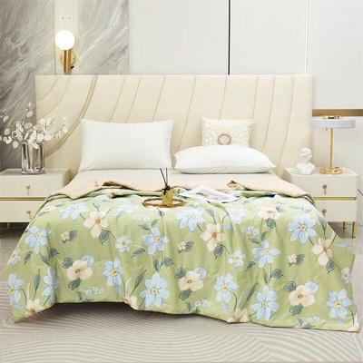Xinjiang Long-staple Cotton Summer Quilt