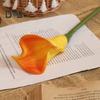 Non Fading Artificial Plant Eye Catching Fancy Crimping Calla Simulation Flower