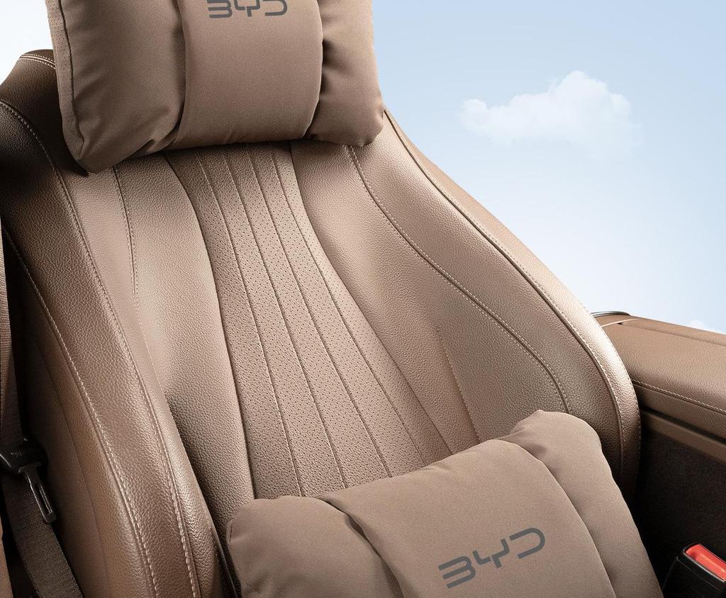 BYD Neck & Lumbar Support Cushions for Han/Tang/Song/Qin/Yuan/Xia