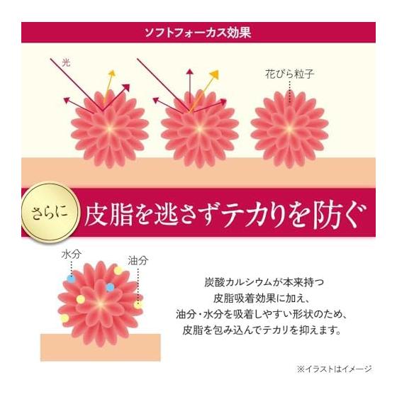D-RAY Foundation Coverage Liquid [D- Liquid UV Foundation 30g] Does not fall apart Pores Popular Non-shiny Dry skin Foundation Waterproof Cream