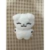 Used SEVENTEEN Joshua Plush Toy Mascot Doll 10cm