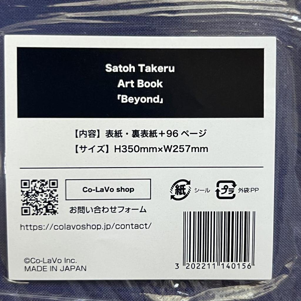 [USED] Sold Out Takeru Sato Photobook Art Book "Beyond" Glass Heart Mega Jacket