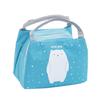 Cartoon Insulated Reusable Picnic Lunch Pouch Tote Meal Bag Ice Pack Kids Boys Girls Adult Men Women