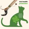 Kitten Teething Toys Sisal Interactive Biting Stick Cat Toys Catnip For Puppy Small Medium Large Breed Relaxing Playing