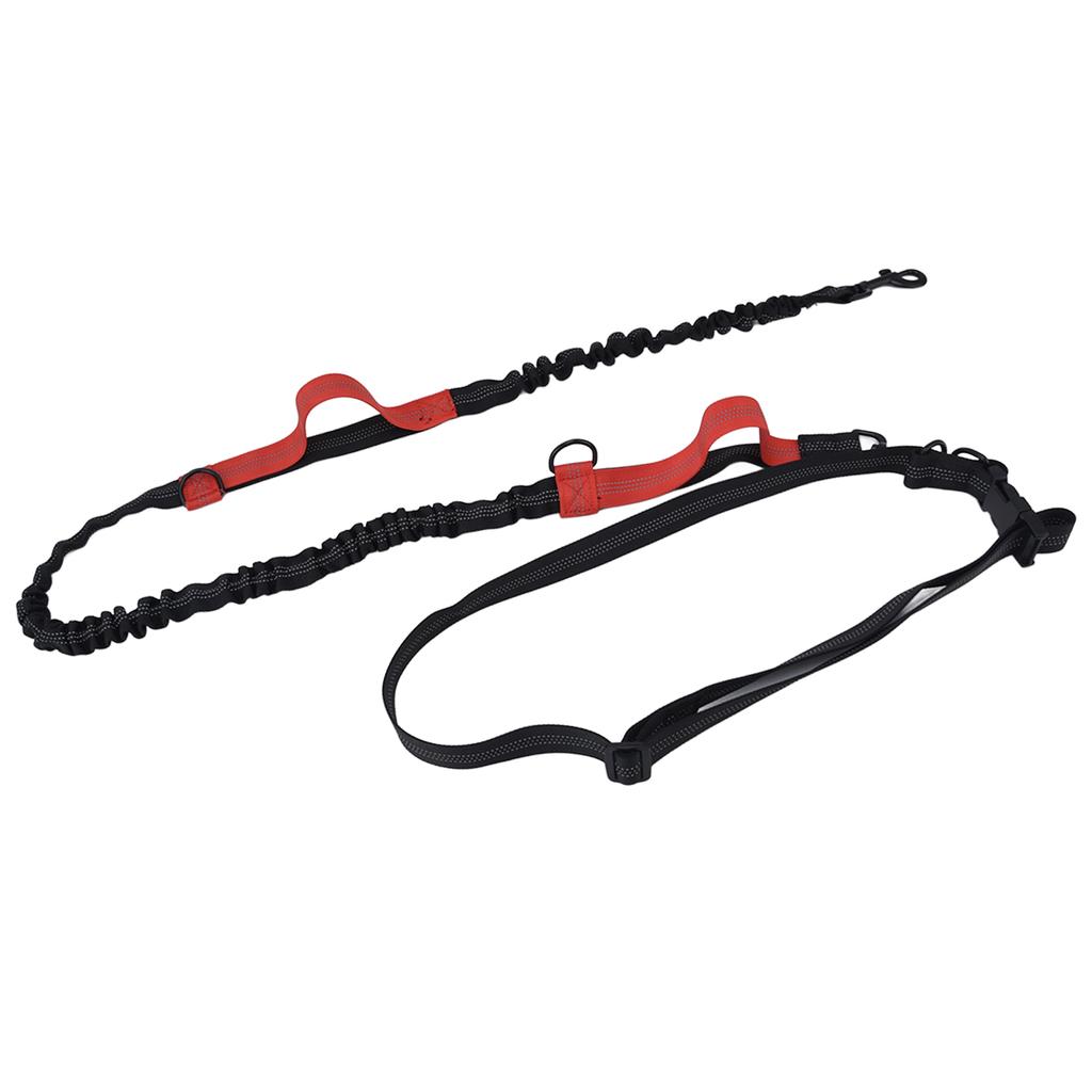 Haustierleine Reflektierend Einziehbar Tragbar Verstellbar Hunde Traktionsseil für Haustiere Hunde Rot