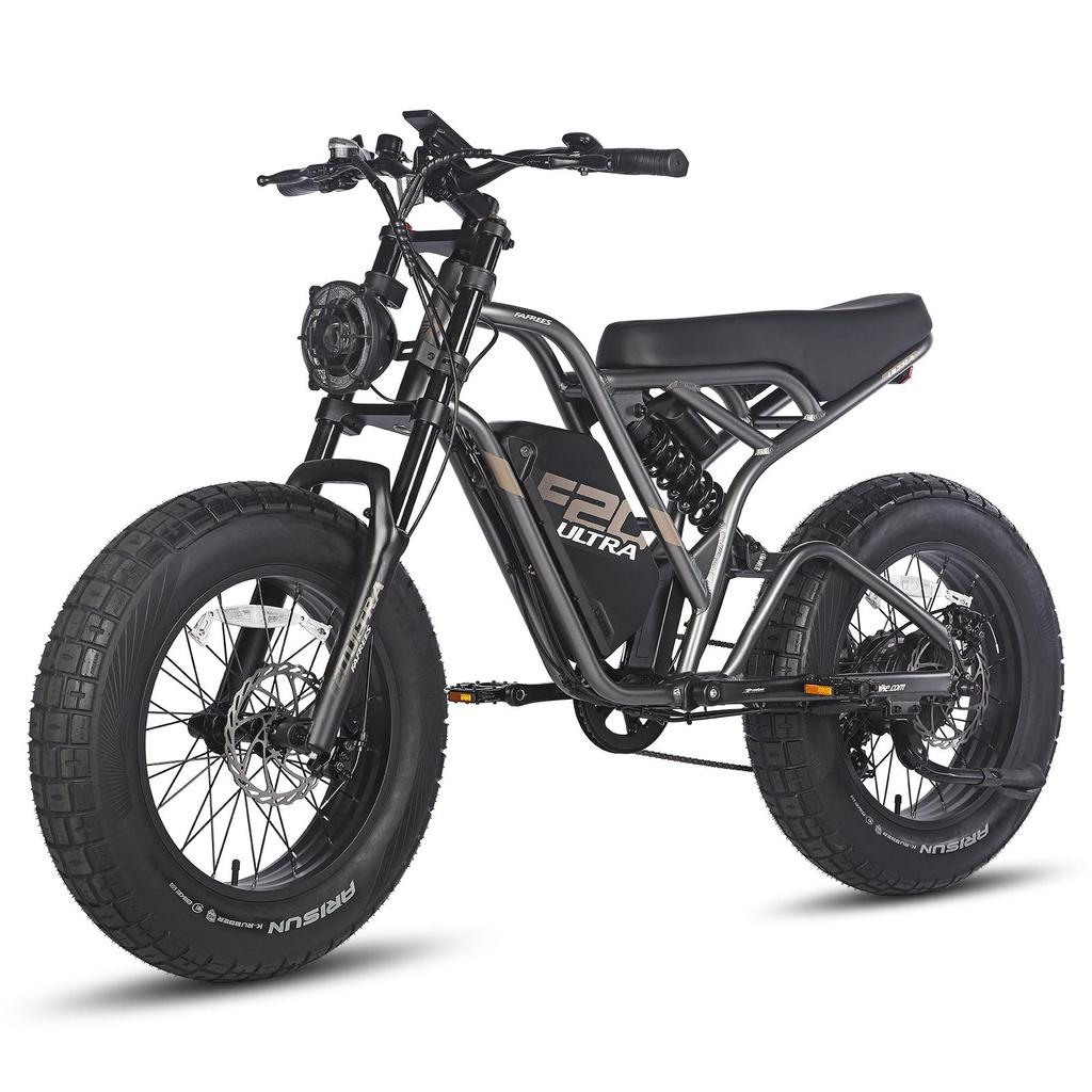 Electric Bicycle FAFREES F20 Ultra 20" 750W Motor Electric Bike Adult Top Speed 40Km/h 48V 25AH Range 140Km Load 180Kg