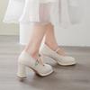 Commuter Mary Jane single shoes high heels women's new one-word thick heel women's shoes temperament shallow mouth wholesale