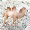 Realistic Camel Model Solid Dromedary Bactrian Static Toy Ornament Home Decor