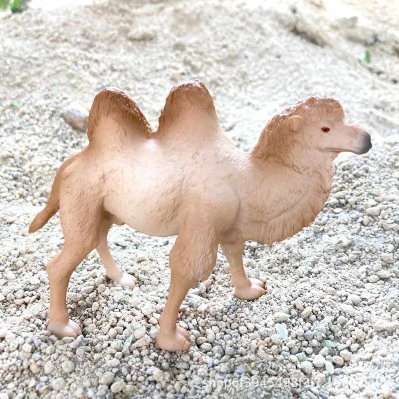 Realistic Camel Model Solid Dromedary Bactrian Static Toy Ornament Home Decor