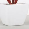 Mini Artificial Aloe Plants Bonsai Immortal Finger Gemstone Flower Pot Plants Fake Flowers Office Table Potted Ornaments Decor
