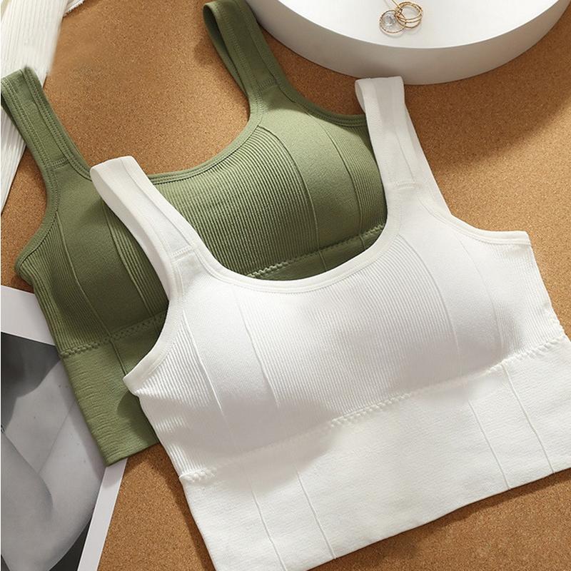 Reggiseno Sportivo Donna Imbottito Push Up Senza Ferretto, Halter Neck Regolabile, Imbottiture Rimovibili, Comodo Senza Cuciture Per Yoga, Corsa, Palestra, Jogging, Taglie S/M/L/XL, Colori Vari