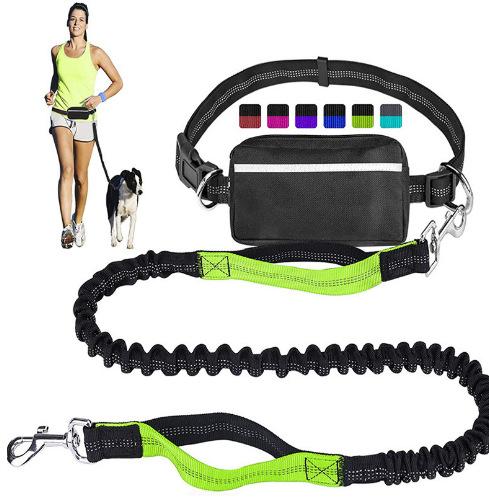 Freihändige Leine für einen und zwei Hunde mit Hüfttasche Reflektierend Doppelgriff Bungee Elastisch Stoßdämpfend Haustier Laufleine für Hunde (green,two 2.5 105) grün