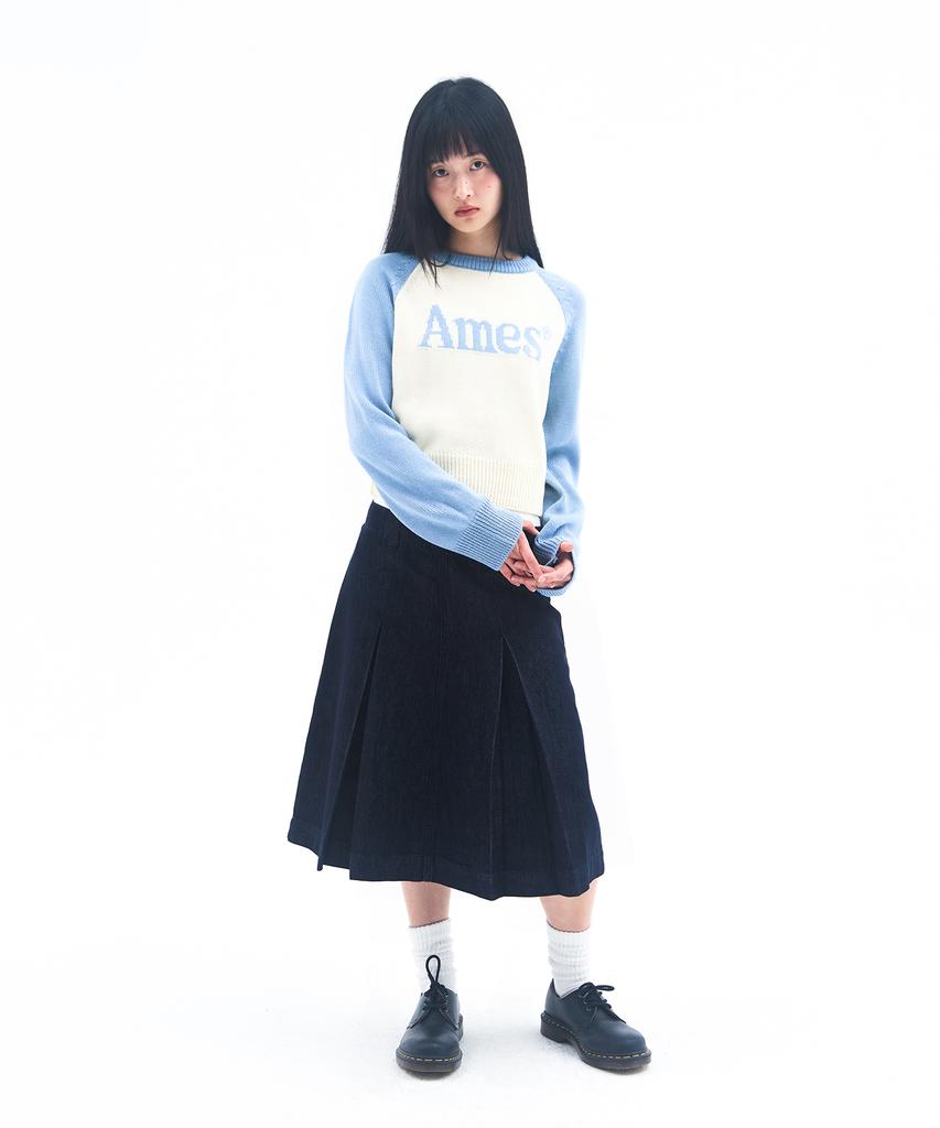 AMES-WORLDWIDE Basic Raglan Pullover Knit Light Blue