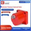 12V/24V Flameout Solenoid Valve for Single/Double Column Generators (3054608/3054609)