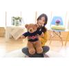 Latest Style Adorable Sweater Bear Plush Toys Stuffed Animals Plush Soft Teddy Bear Cloth Doll Birthday Gift Kids Toys Pillow