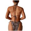 2024 Leopard Print Bikini Swimsuit Set - Sexy, Split, One-Piece Design