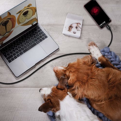 USB Type C Cable [3m 2 pcs] CLEEFUN Rapid Charging Type C Cable Long High Speed ??Data Transfer Cord Type C Heavy Duty Disconnection Prevention Nylon