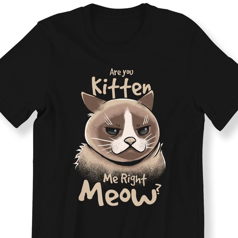 26 Cat Lovers For Men And Women T-shirt Are You Kitten Me Right Meow Graphic Te Unisex T-Shirt L