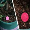 Phosphorus Organic Fertilizer Speed Up Growth Slow-Release Tablet Potassium Plant Nutrition Tablets Plants Potted