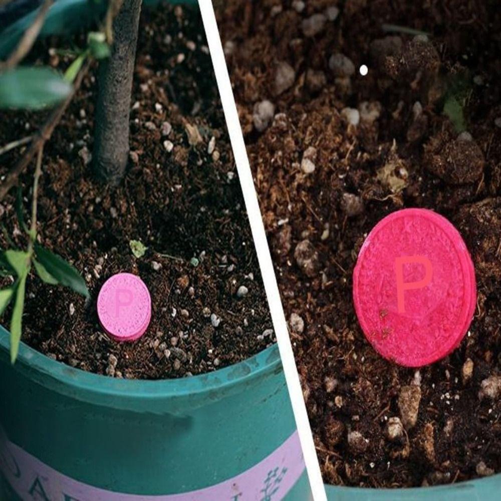 Phosphorus Organic Fertilizer Speed Up Growth Slow-Release Tablet Potassium Plant Nutrition Tablets Plants Potted