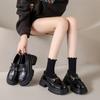 Pedaling Platform Small Leather Shoes for Women's Autumn New Women's Mary Jane Single Shoes Trend