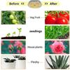 184 LED Full Spectrum Plant Grow Light Flower Vegetable Grow Box Stanové žárovky Vnitřní fytolampa Skleníková červená žlutá pěstební sada