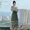 Chinese Ming Dynasty Style Hanfu Women's Stand Collar Daily Print horse-face  Skirt