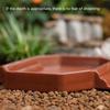 Small Plastic Turtles Bathing Pool Multifunctional Design Water Basin For Baby Reptiles Easy Cleaning And Portable Use