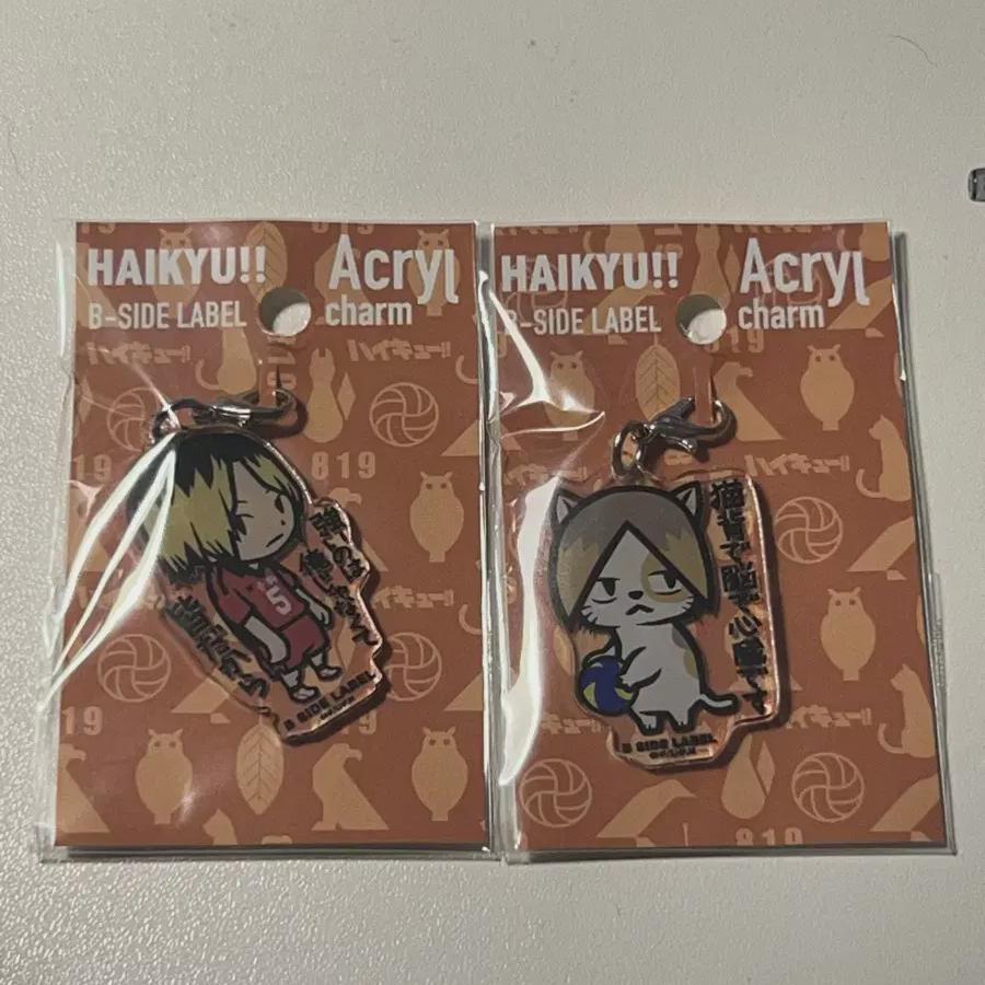 

Haikyu Kenma B-side Label Acrylic Keyring Bulk Sell
