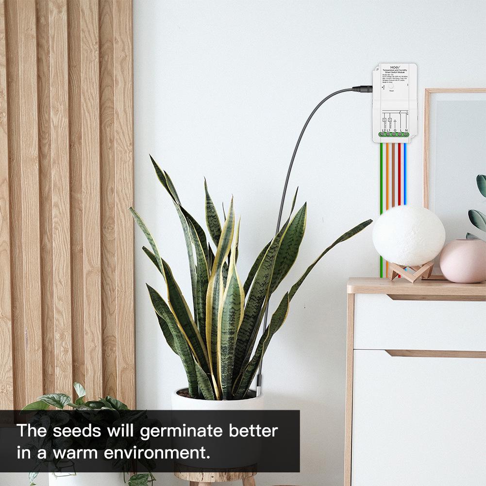 Graffiti WiFi Dual-Channel Temp & Humidity Switch with Timer & Alexa Support