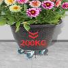 Mobile Plant Pot Caddy with Wheels
