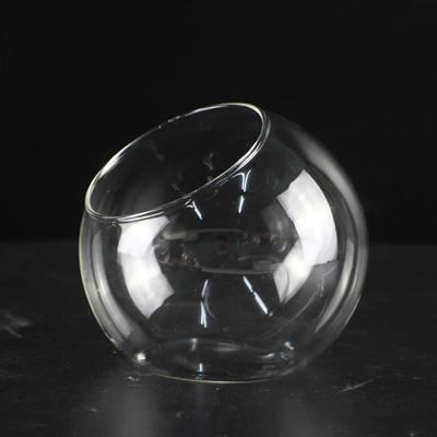 Oblique Clear Glass Ball Vase Clear Borosilicate Glass Borosilicate Glass Vase 8/10/12/16cm Transparent Plant Terrarium