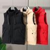 Gilet da uomo, tendenza autunno e inverno, capispalla larghi e spessi, in cotone, tinta unita, casual, con cappuccio