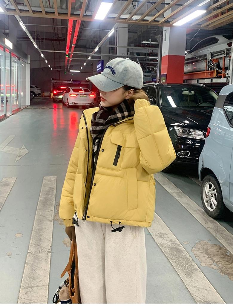 Jachetă de iarnă groasă și călduroasă pentru femei, scurtă, cu guler înalt, rezistentă la vânt, cu tiv ajustabil