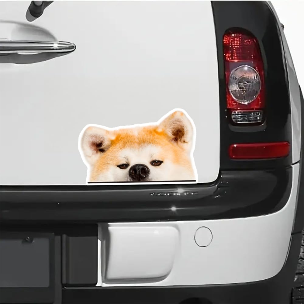 2 kusy 6"x3,75" Vodotěsná dekorace auta a kola Akita pes Podlé oči Vinylová nálepka -