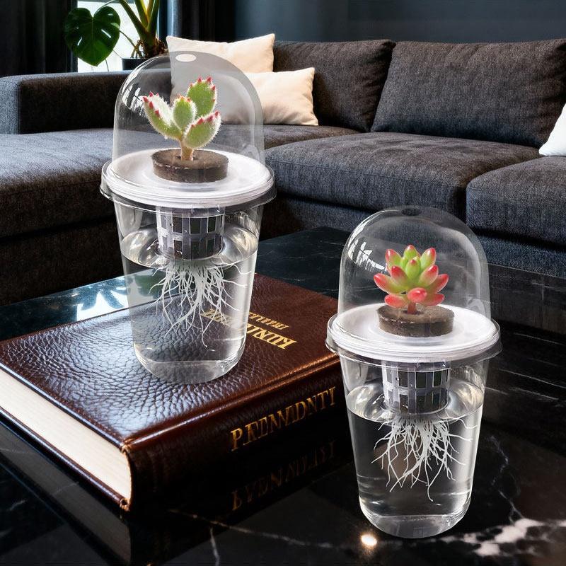Transparent Nursery Pots Hydroponic Seedling Cup Flowerpot Potato Succulent Vegetable Hydroponic Planting Cup Nutritional Cup